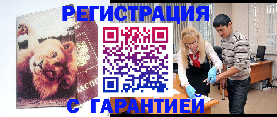 временная регистрация поиск в Ленинградской области